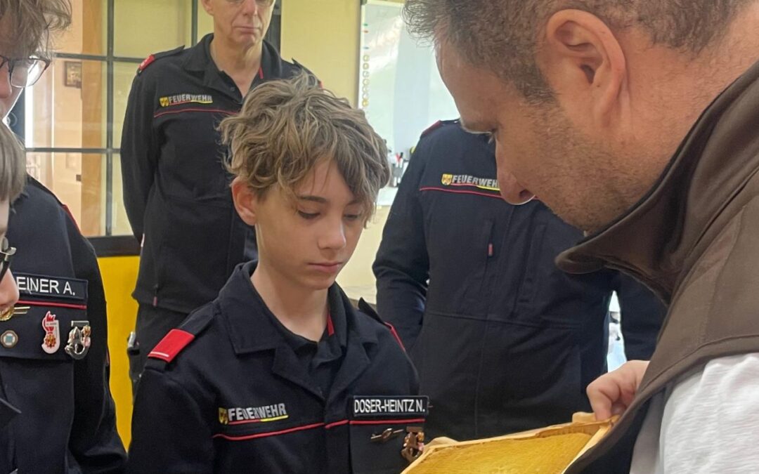 BeeWild – Abschluss